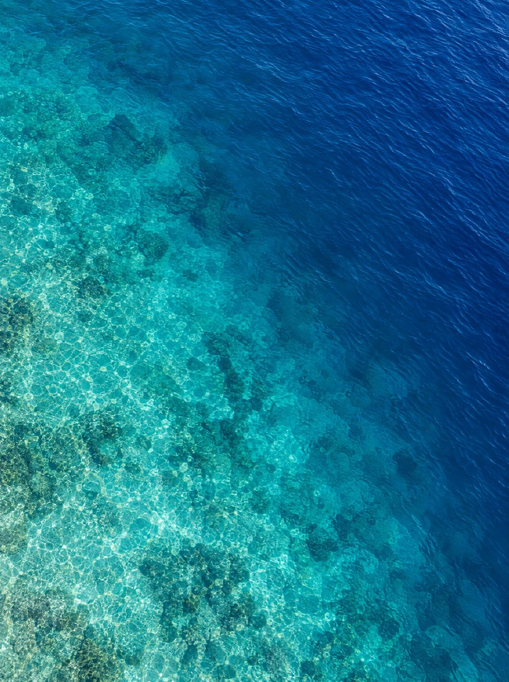 Aguas turquesa del Caribe vistas desde arriba